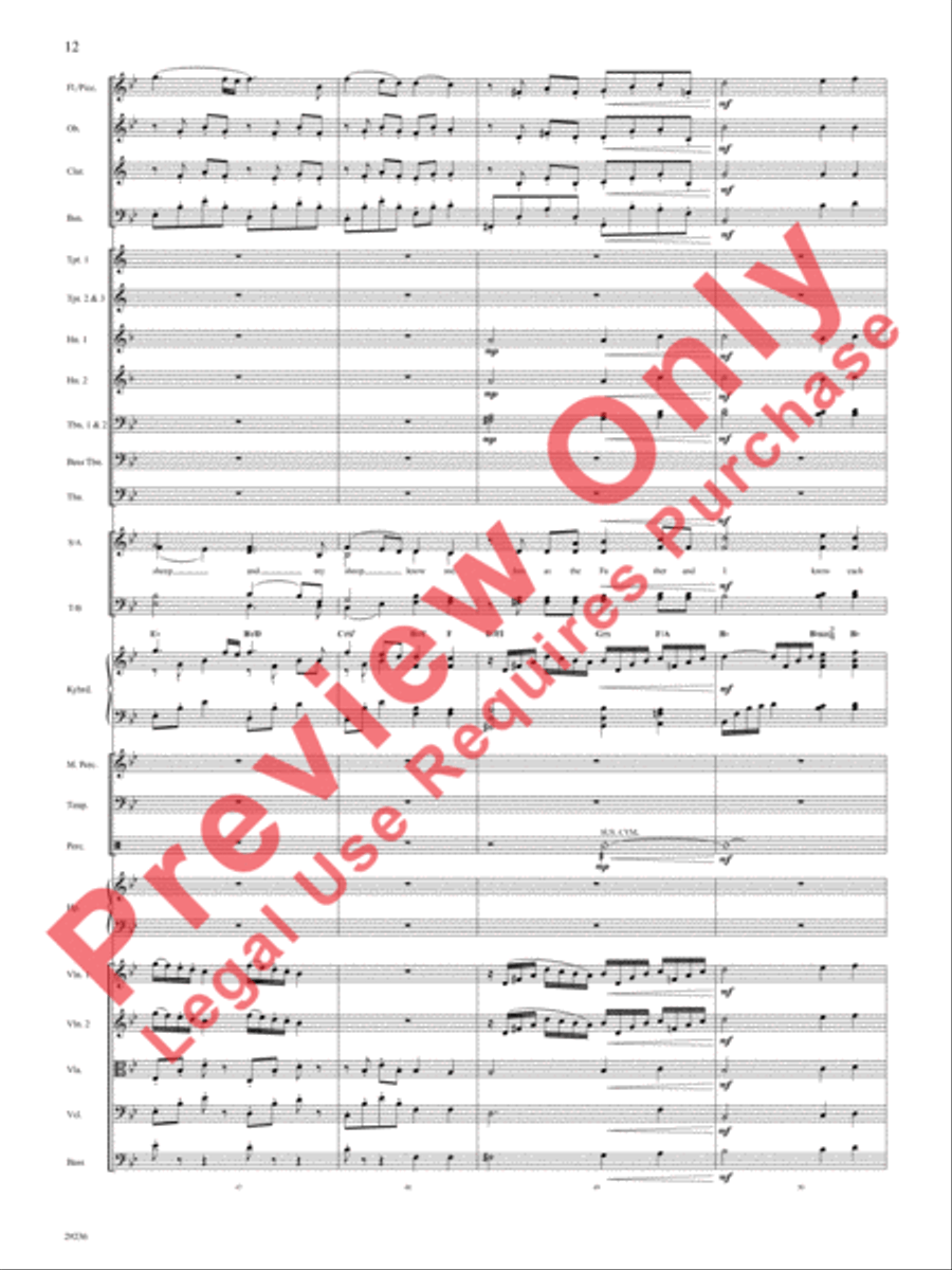 I Am I Am Choir scores gallery preview page 13