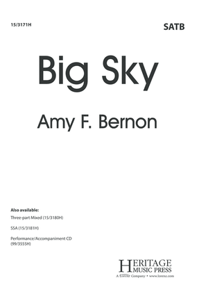 Book cover for Big Sky