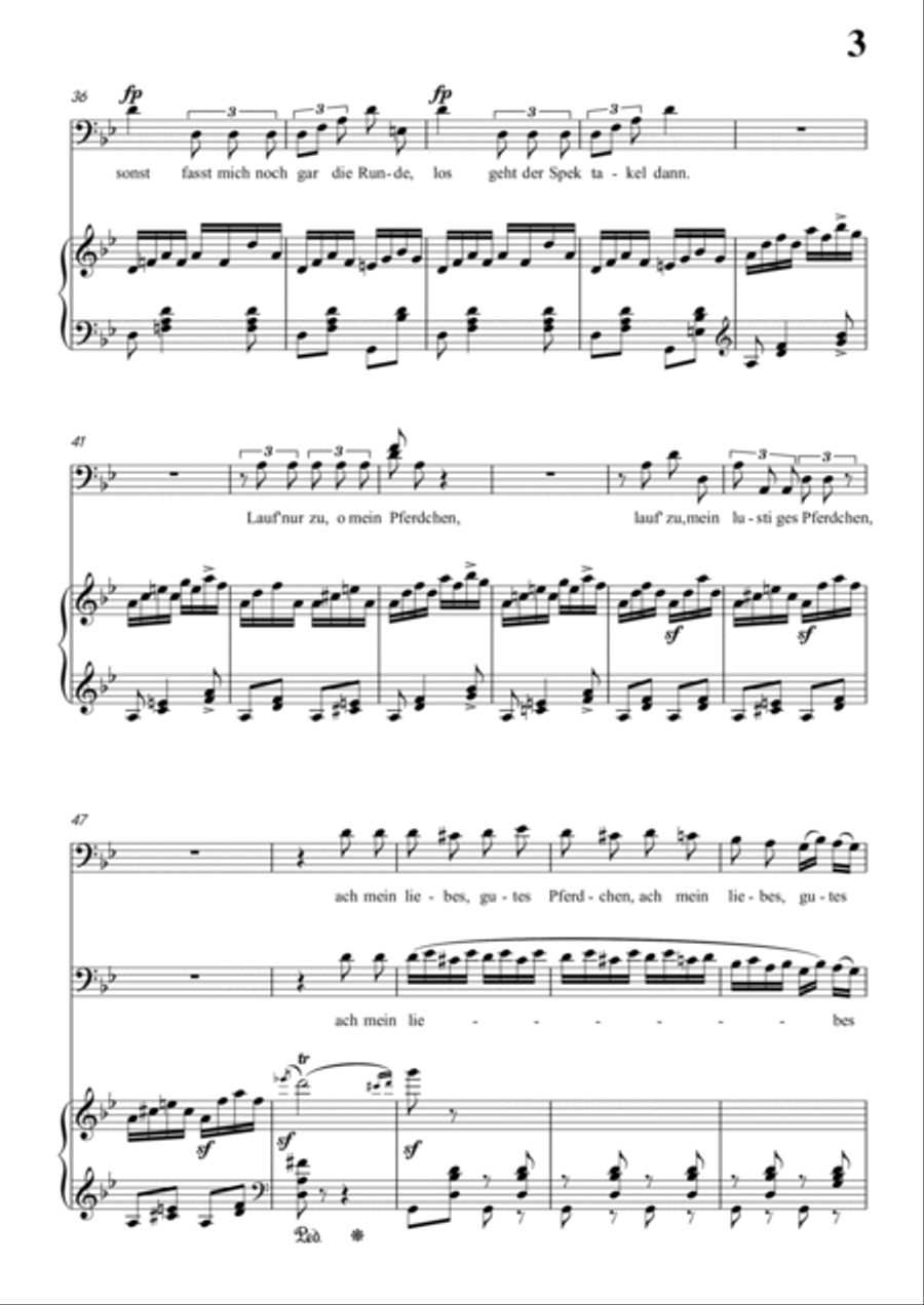 Schumann-Der Kontrabandiste in g minor for Voice and Piano Voice Solo scores gallery preview page 4
