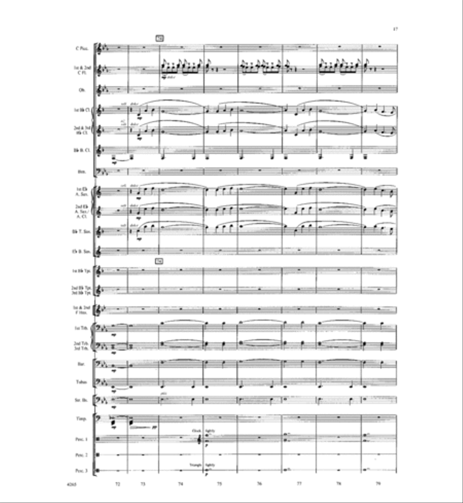 River of Life River of Life Concert Band scores gallery preview page 16