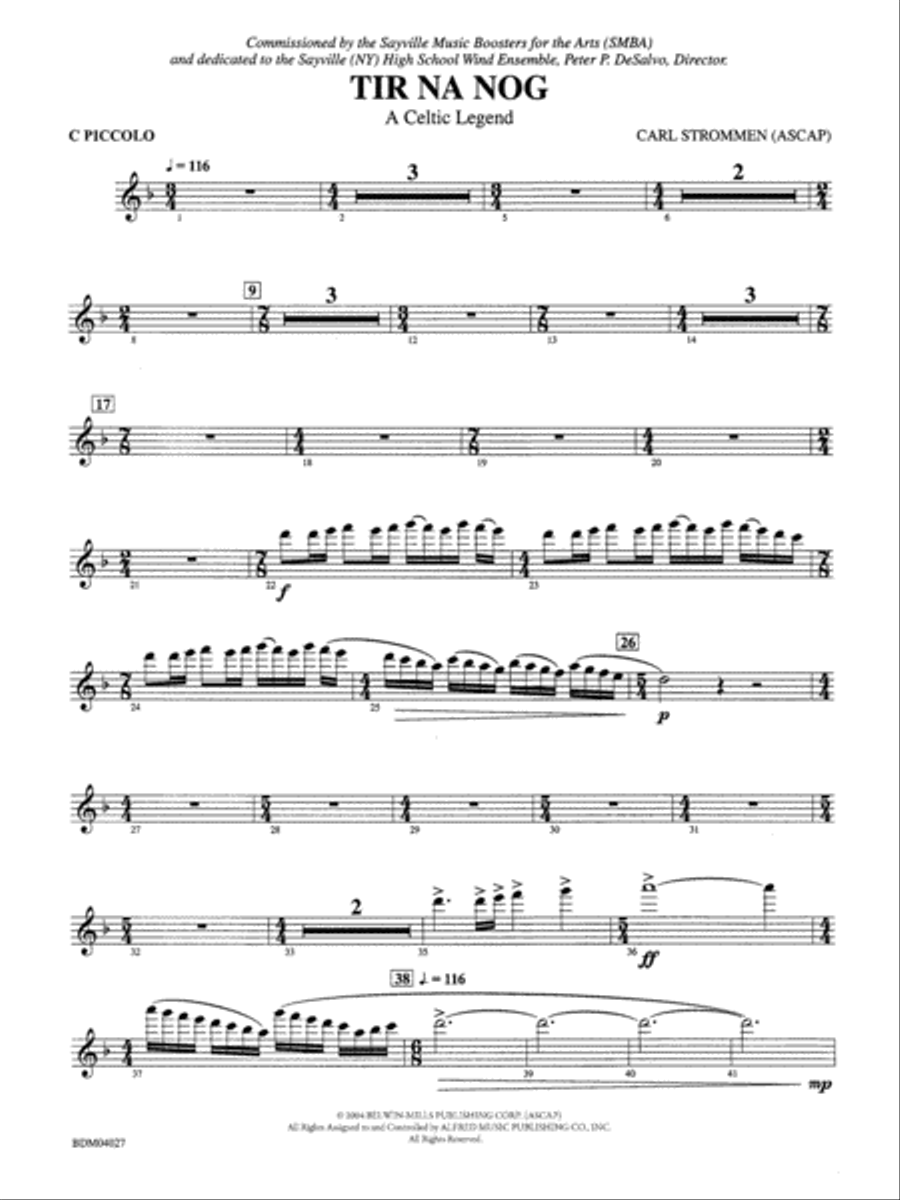 Tir Na Nog (A Celtic Legend): Piccolo Concert Band scores gallery preview page 1
