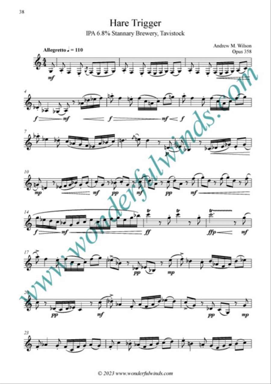 Ten Devon Pints B-Flat Clarinet scores gallery preview page 9