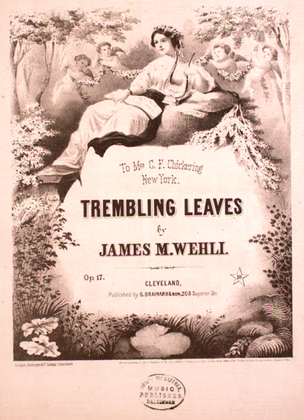 Trembling Leaves