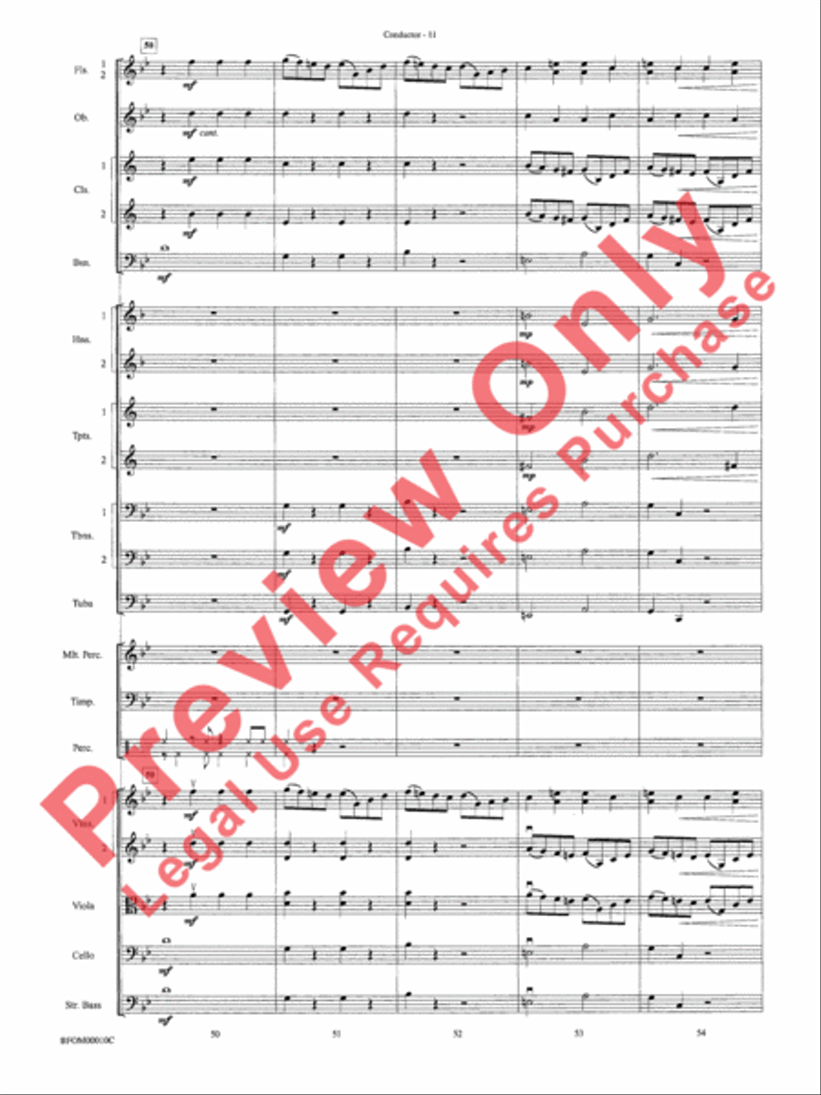 Aboriginal Rituals Full Orchestra scores gallery preview page 13