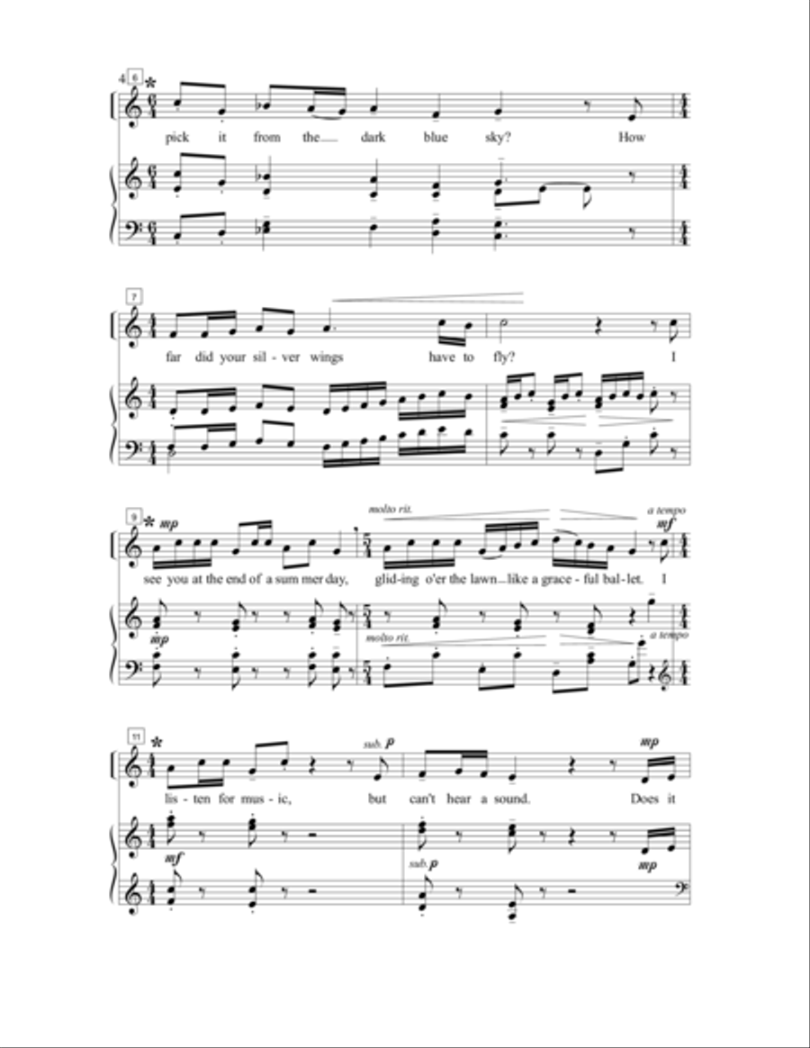 Little Firefly Little Firefly SA scores gallery preview page 6