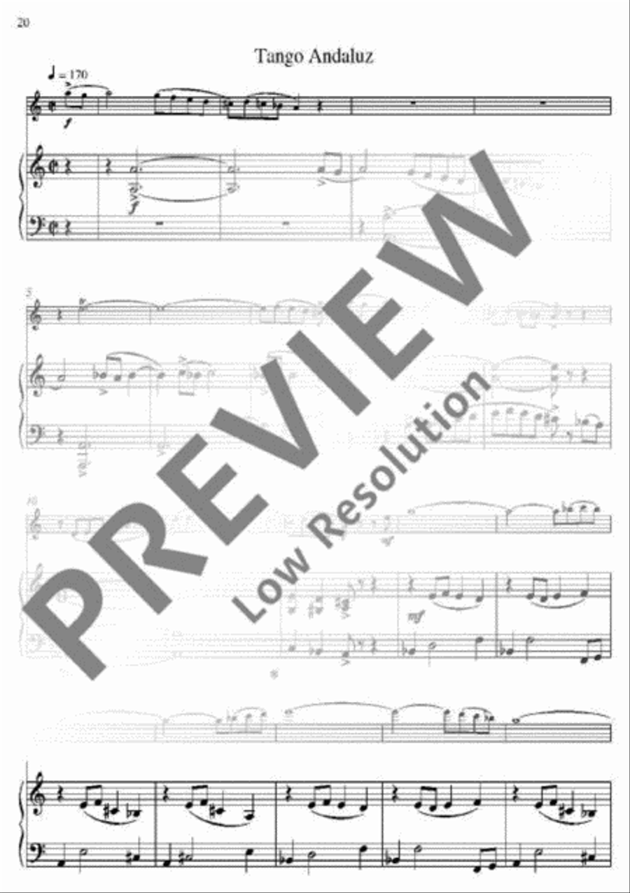 Modern Flutist Flute Solo scores gallery preview page 19