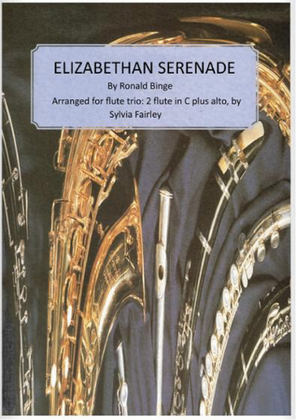 Book cover for Elizabethan Serenade