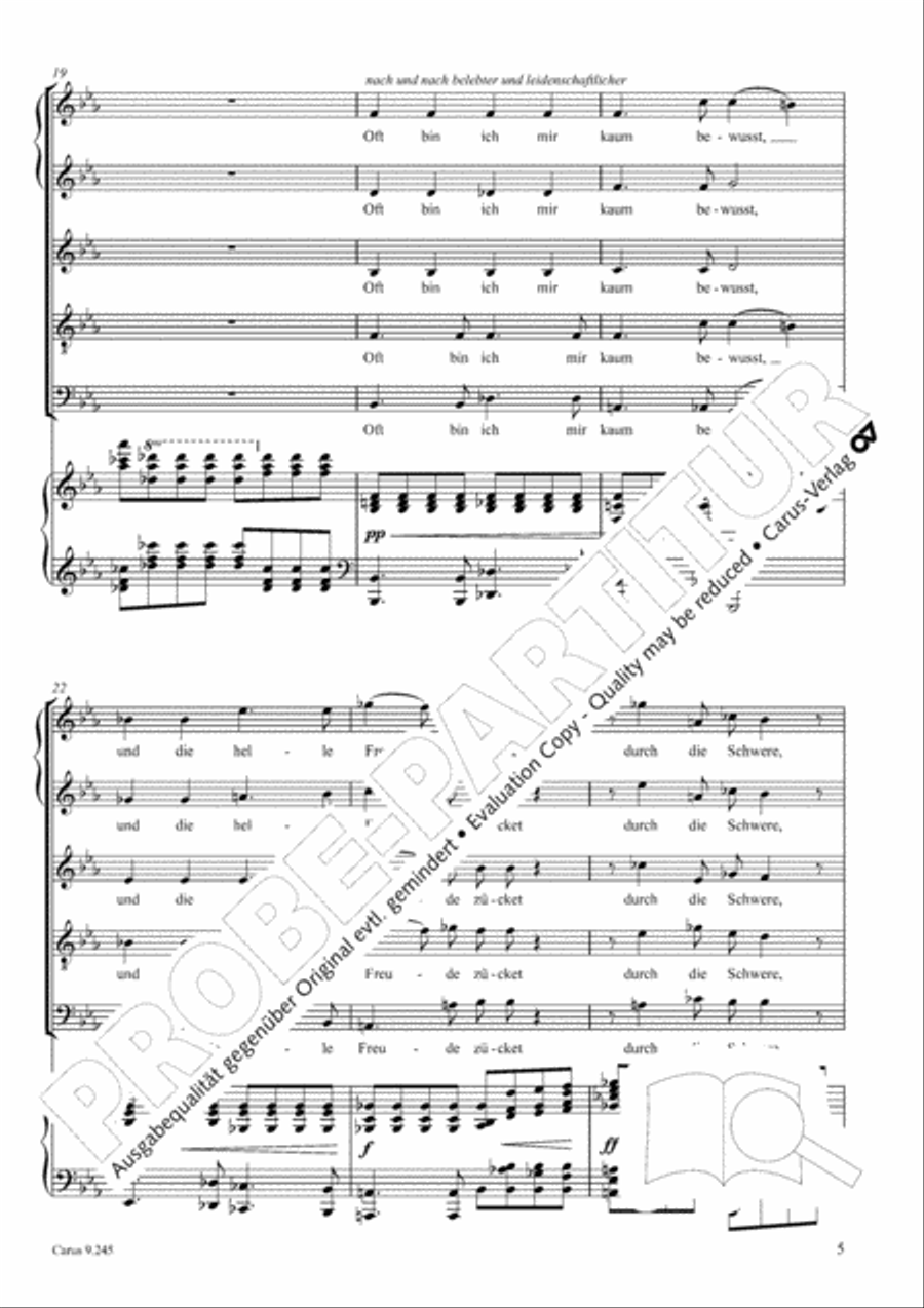 Verborgenheit SSATB scores gallery preview page 6