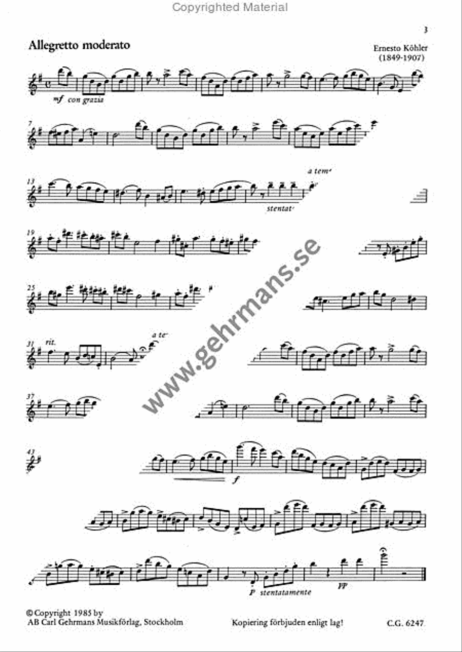 Flojtspel 1 Flute Duet scores gallery preview page 3