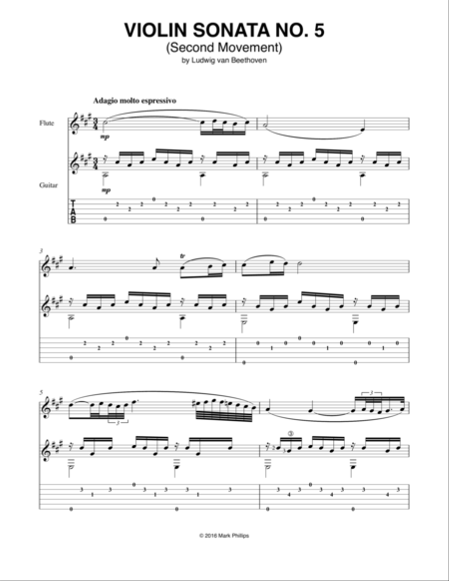 Violin Sonata No. 5 (Second Movement Theme) Flute scores gallery preview page 1