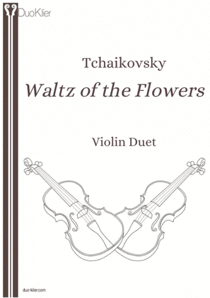 Tchaikovsky - Waltz of The Flowers (Violin Duet)