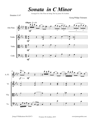 Telemann: Sonata in C Minor for Alto Flute & String Trio