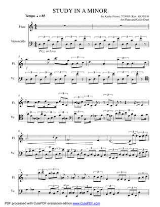 Study in A Minor for Flute and Cello Duet