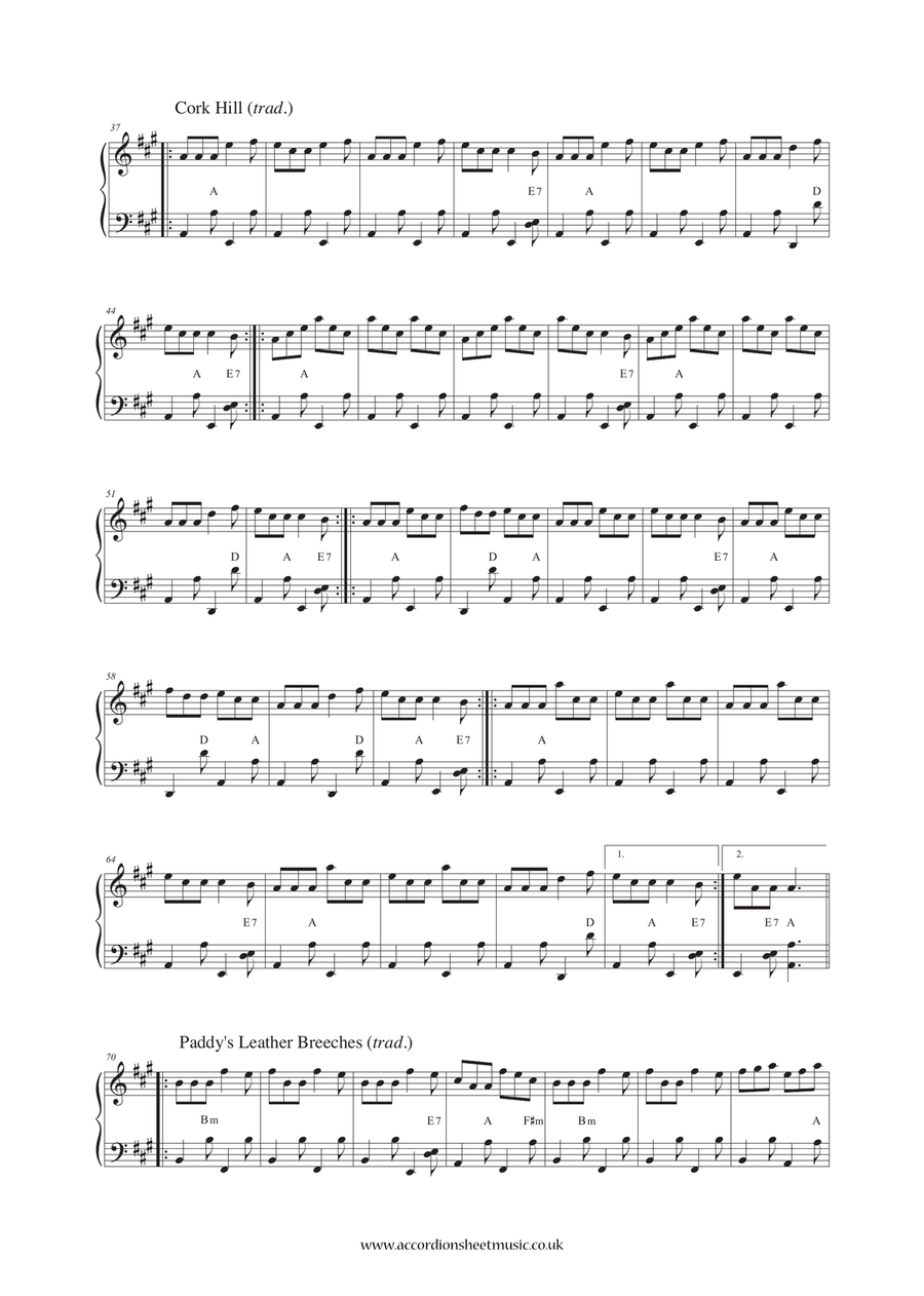 Strip The Willow (The Jig O' Slurs / Cork Hill / Paddy's Leather Breeches / Biddy From Sligo) Accordion scores gallery preview page 3