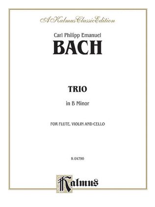 Book cover for Trio in B Minor