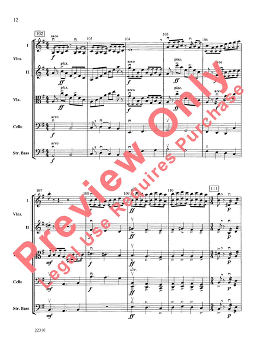 Incantations Incantations String Orchestra scores gallery preview page 13