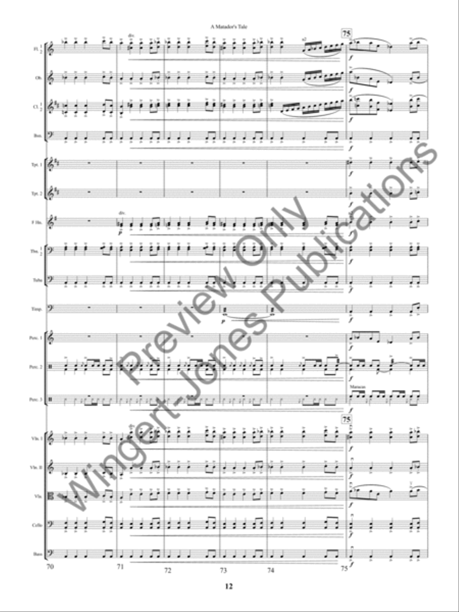 A Matador's Tale Full Orchestra scores gallery preview page 15