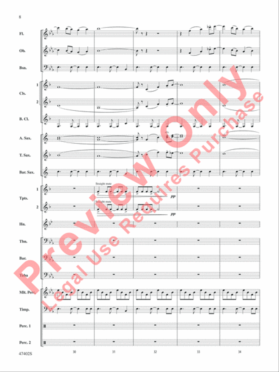 Rhythmicity Rhythmicity Concert Band scores gallery preview page 9