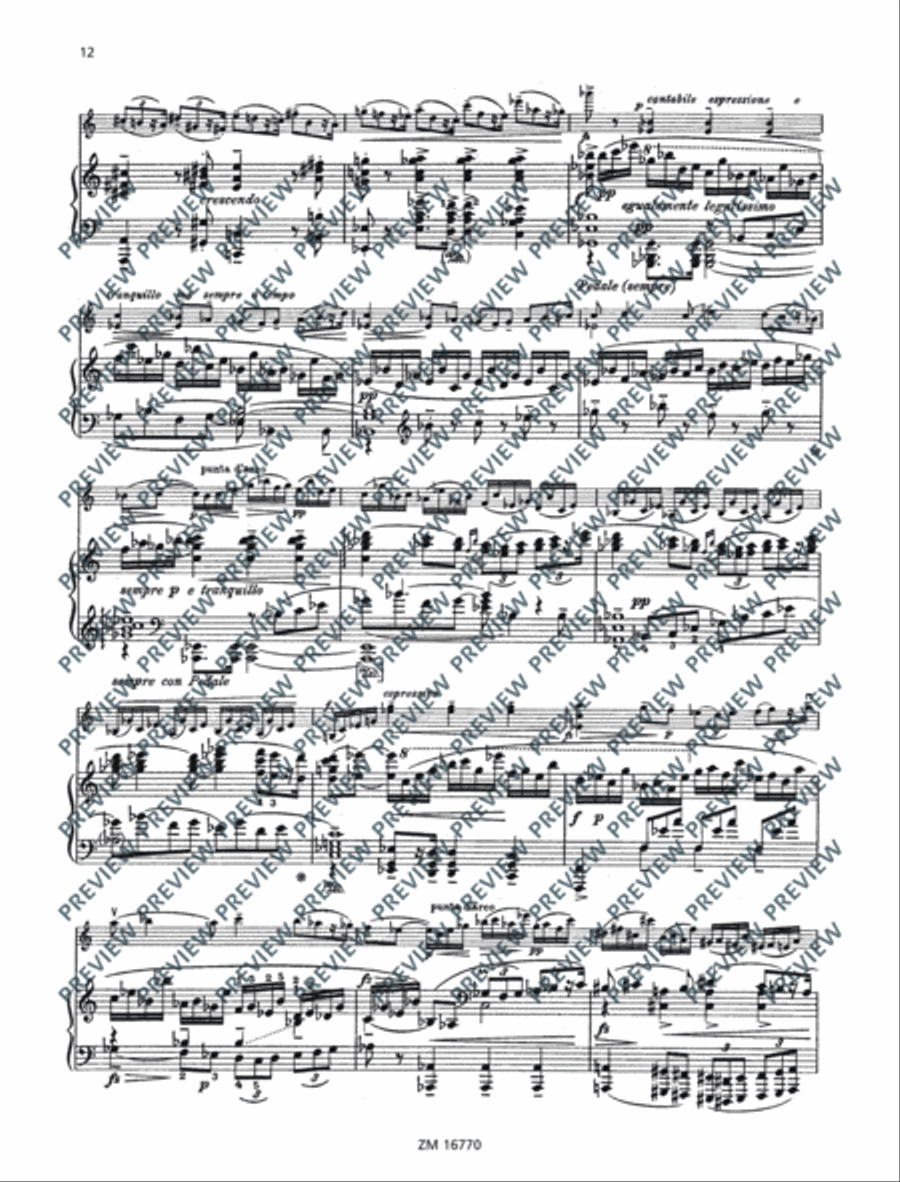 Sonata No. 2 G major Violin Solo scores gallery preview page 13