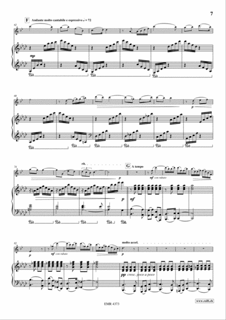 Devil's Concertino Devil's Concertino Euphonium scores gallery preview page 8