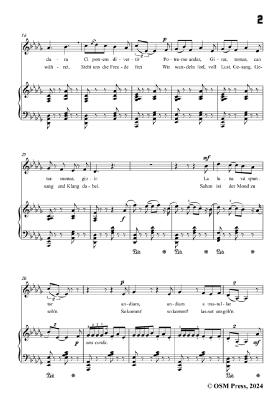 Paladilhe-Mandolinata( Souvenir de Rome),in D flat Major Voice scores gallery preview page 3