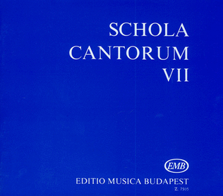 Schola Cantorum Vii Zwei- Und Dreistimmige Motett