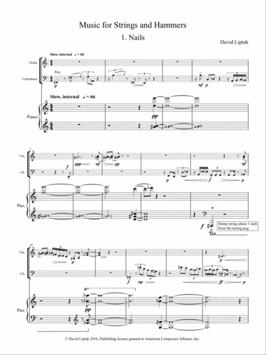 [Liptak] Music for Strings and Hammers String Orchestra scores gallery preview page 5