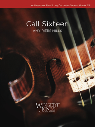 Book cover for Call Sixteen