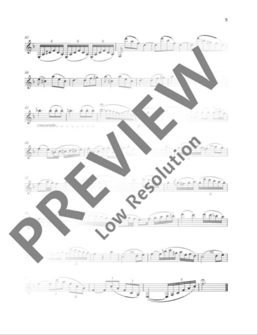 Larghetto Clarinet Solo scores gallery preview page 9