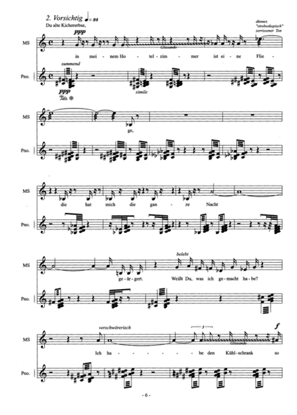 Dreizehn Lieder for Medium Voice and Piano