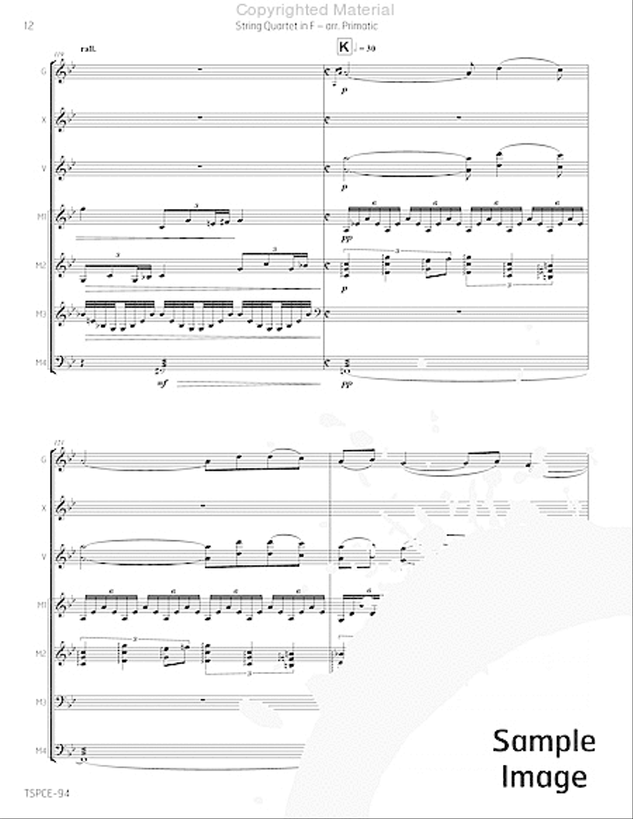 String Quartet in F Percussion Ensemble scores gallery preview page 15