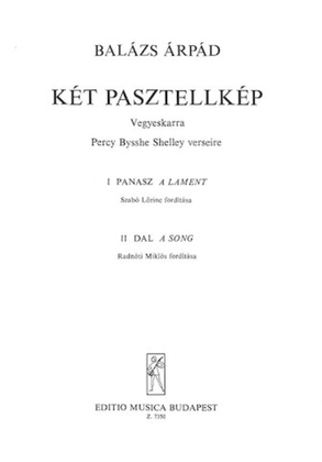 Book cover for Kt Pasztellkp