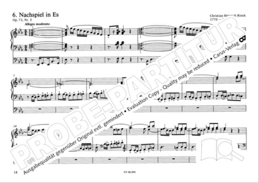 Free Organ Music from the Romantic Period, Vol. II (Freie Orgelmusik der Romantik, Band II) Organ scores gallery preview page 19
