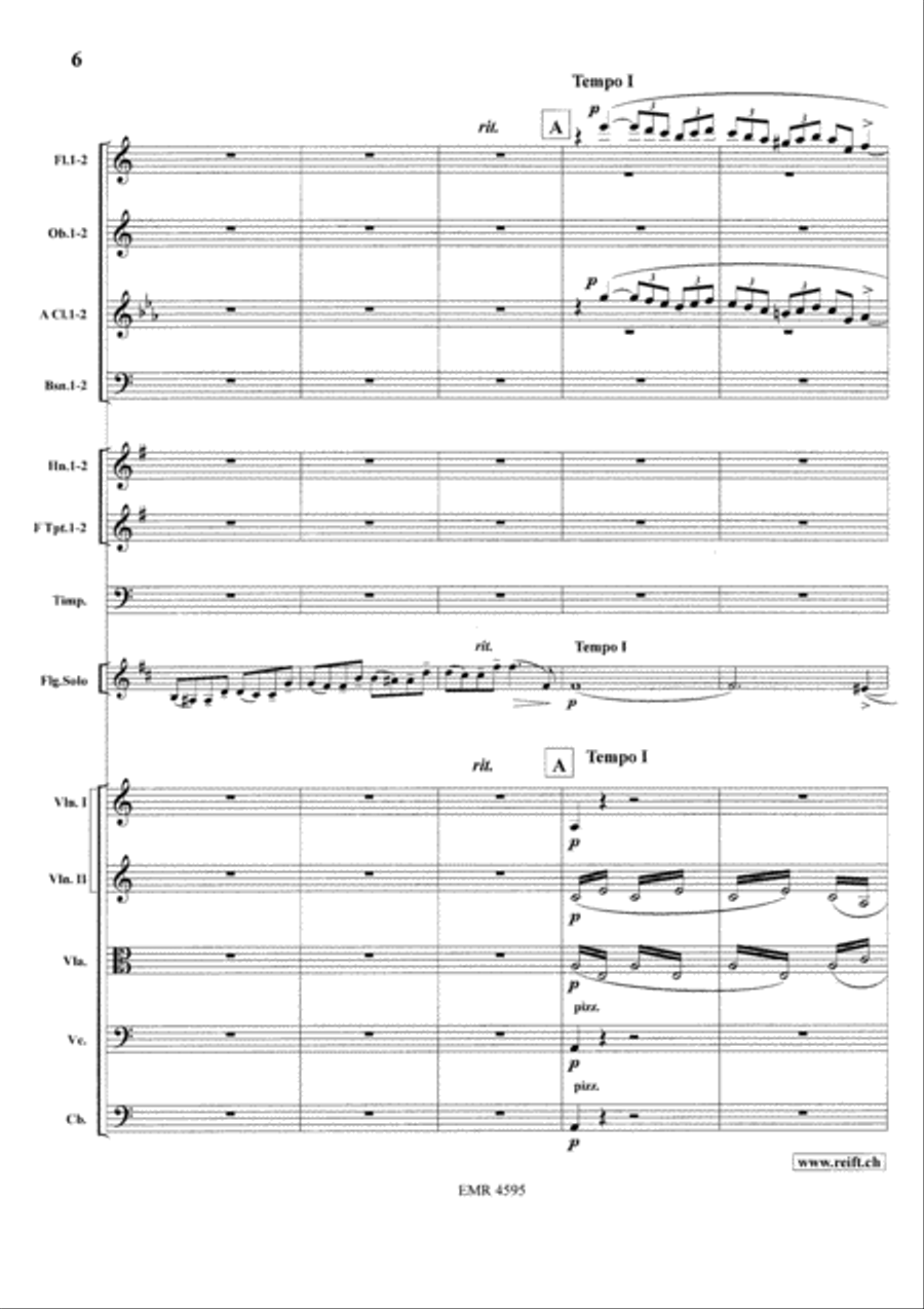 Concerto in A minor Orchestra scores gallery preview page 8