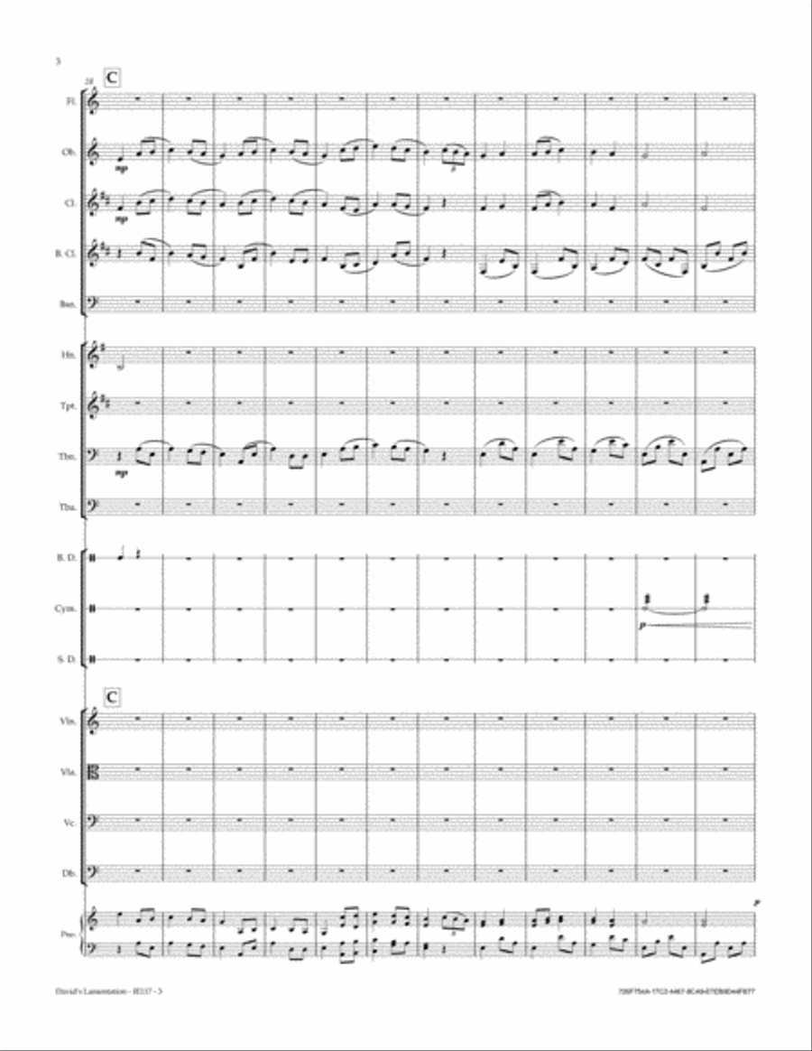 David's Lamentation David's Lamentation Full Orchestra scores gallery preview page 4