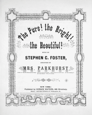 Book cover for The Pure! The Bright! The Beautiful