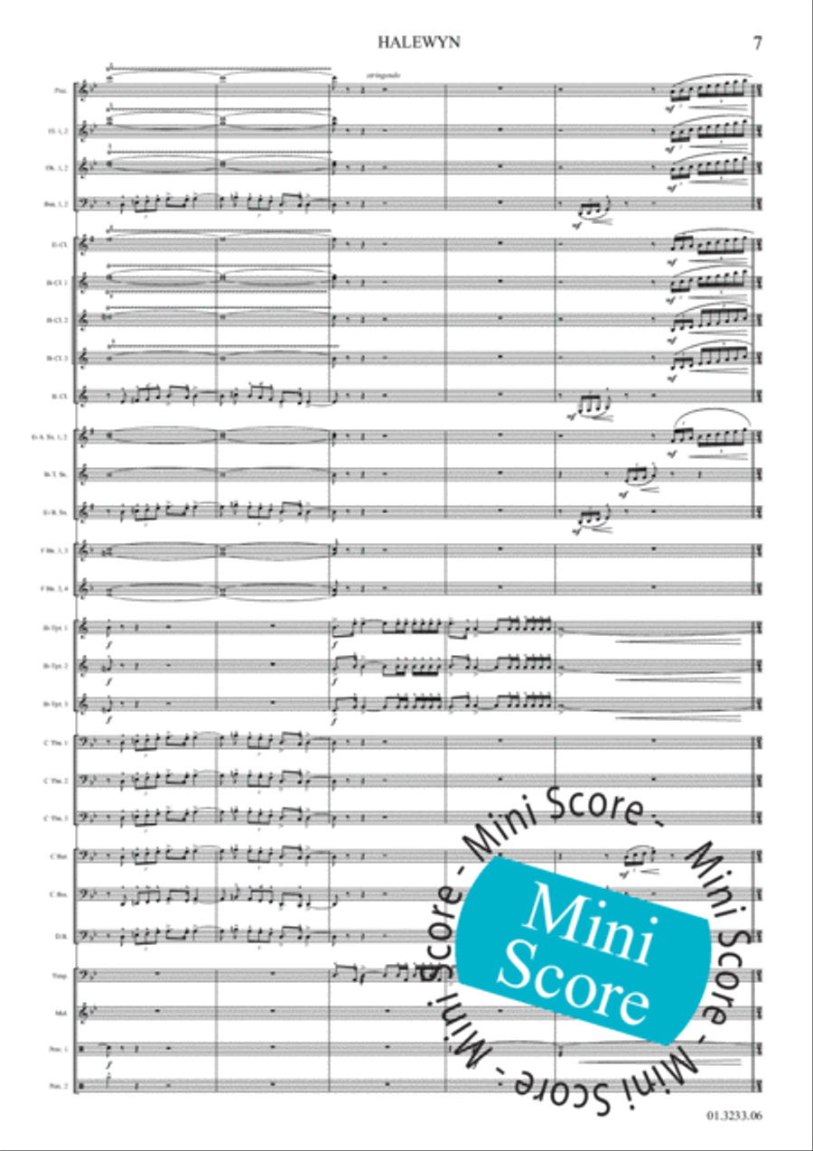 Halewijn Concert Band scores gallery preview page 13