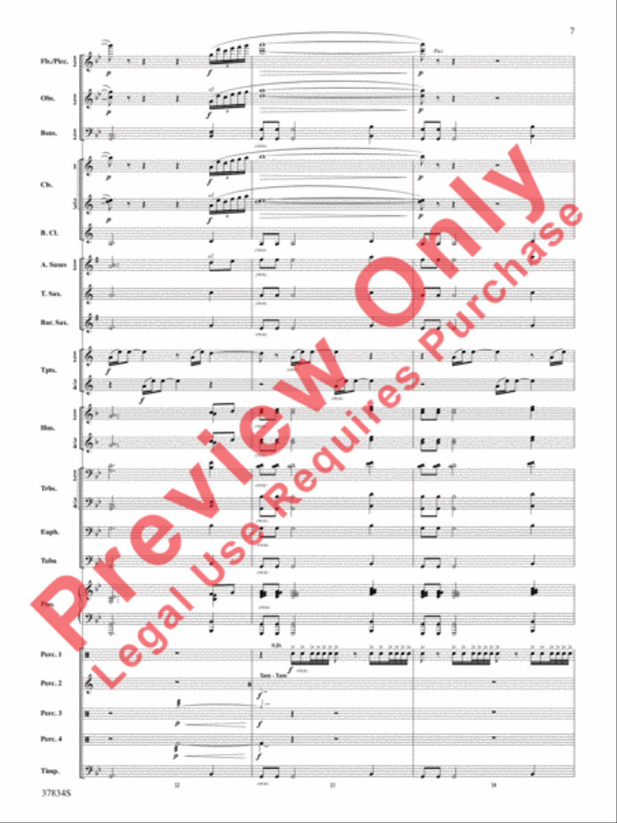 Poor Wayfaring Stranger Poor Wayfaring Stranger Concert Band scores gallery preview page 8
