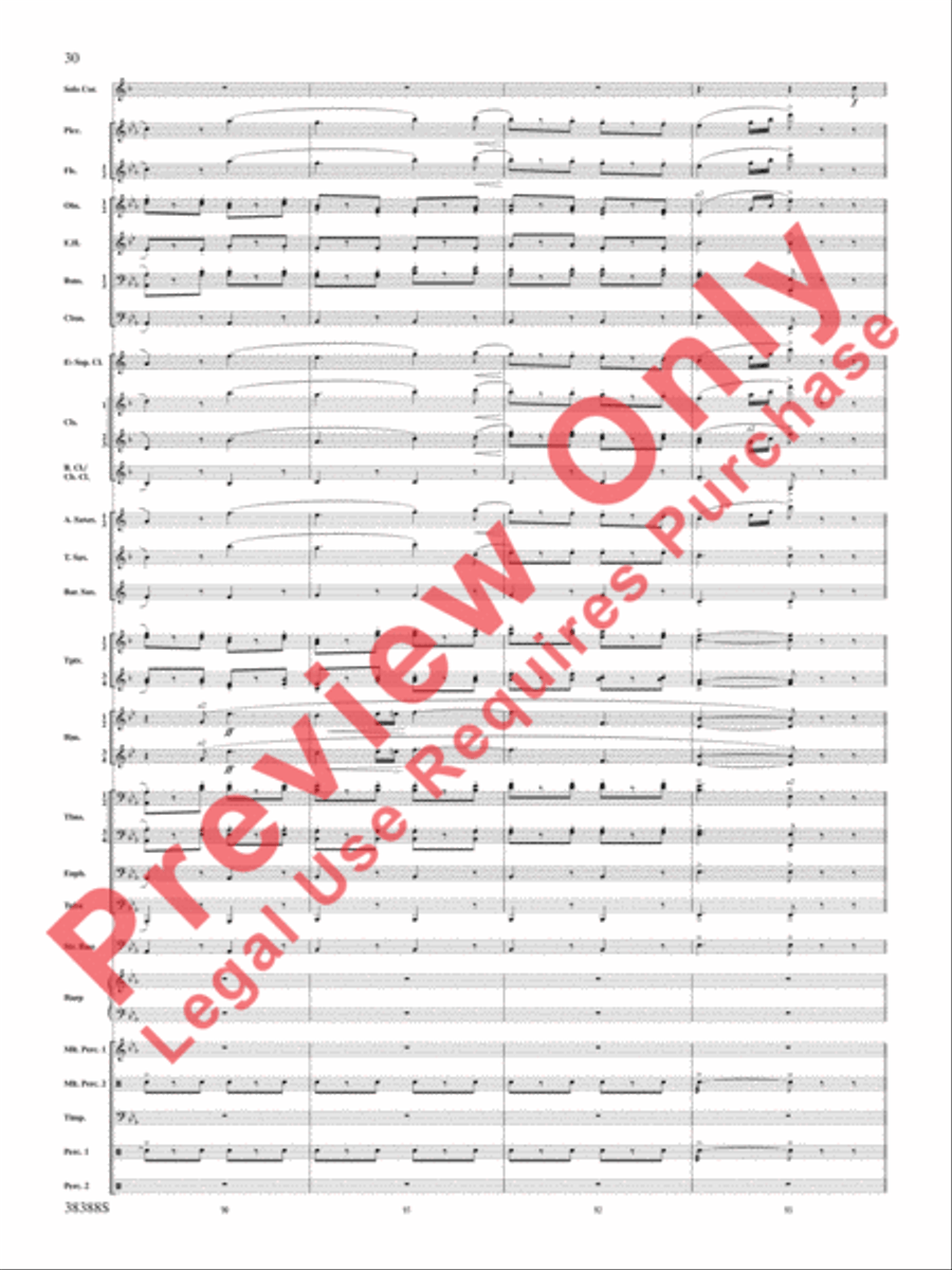 Napoli Napoli Concert Band scores gallery preview page 31