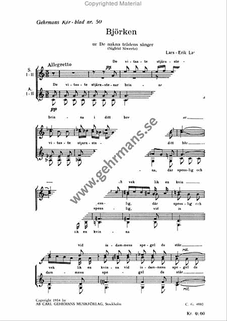 Bjorken Bjorken SSAA scores gallery preview page 2
