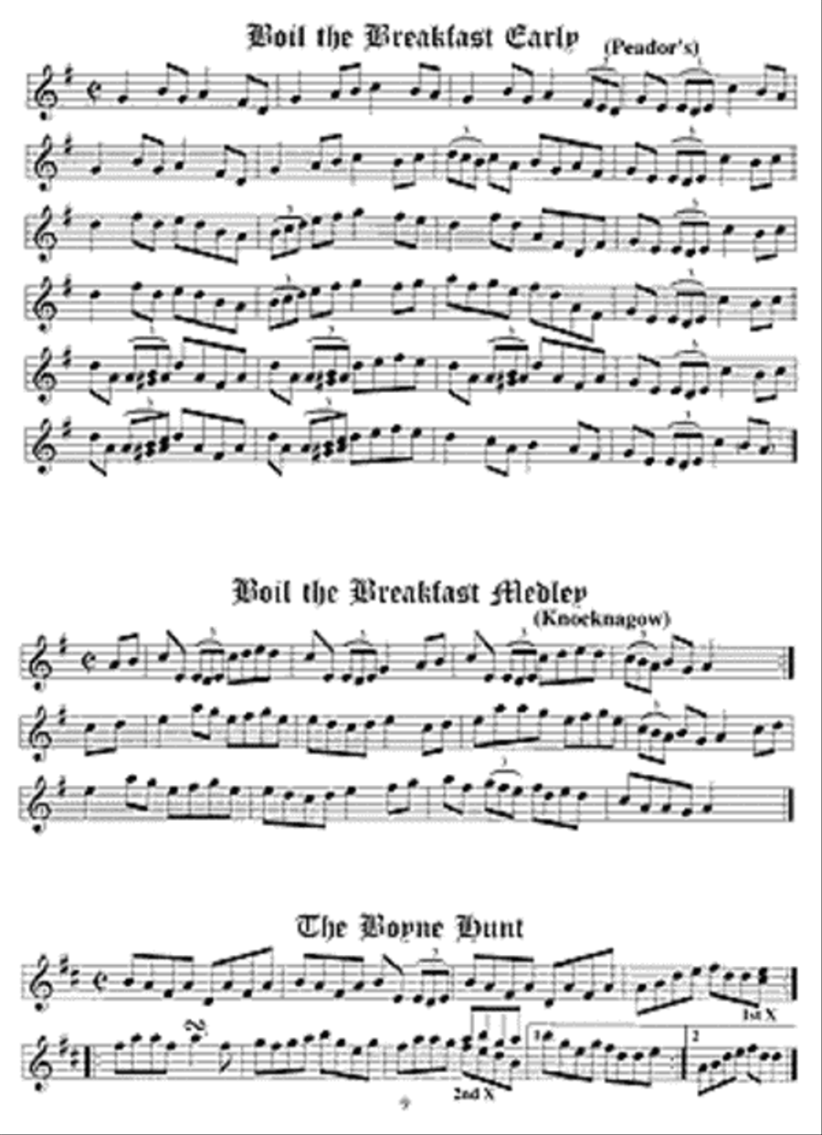 Irish Session Tune Book Violin scores gallery preview page 3