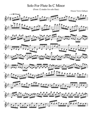 Solo For Flute In C Minor (From 12 Etudes For Flute Solo)