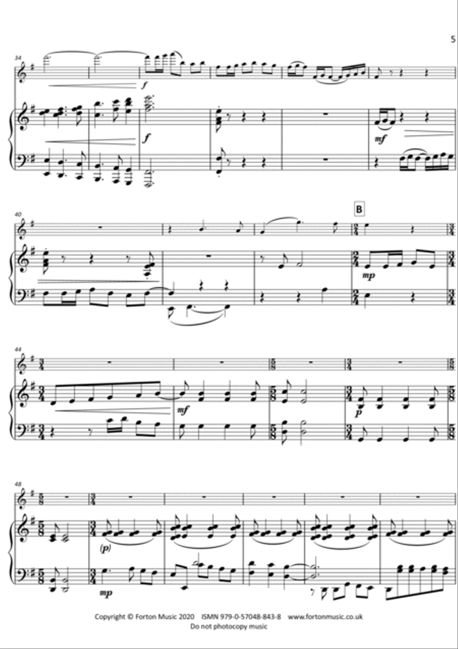 Flute Concerto Flute scores gallery preview page 5
