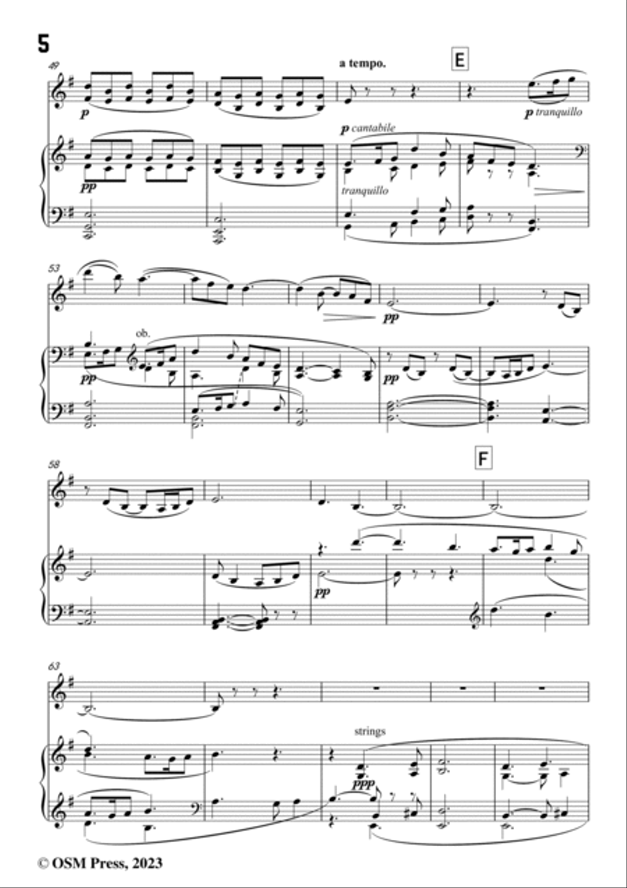Vaughan Williams-The Lark Ascending(1925),in e minor Violin Solo scores gallery preview page 6