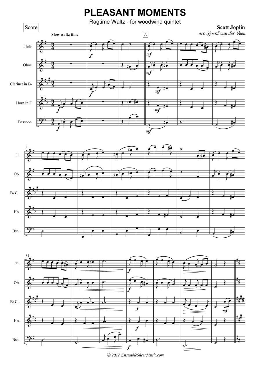 Pleasant Moments Waltz Woodwind Quintet scores gallery preview page 1
