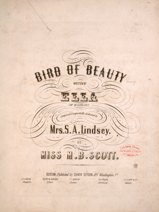 Book cover for Bird of Beauty