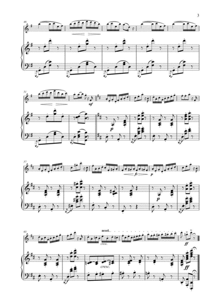 Pizzicati from Slyvia arranged for Flute & Piano image number null
