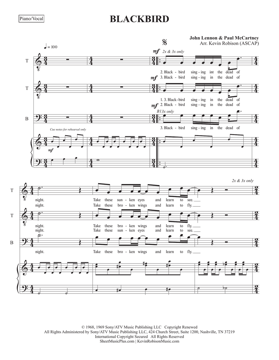 Blackbird
