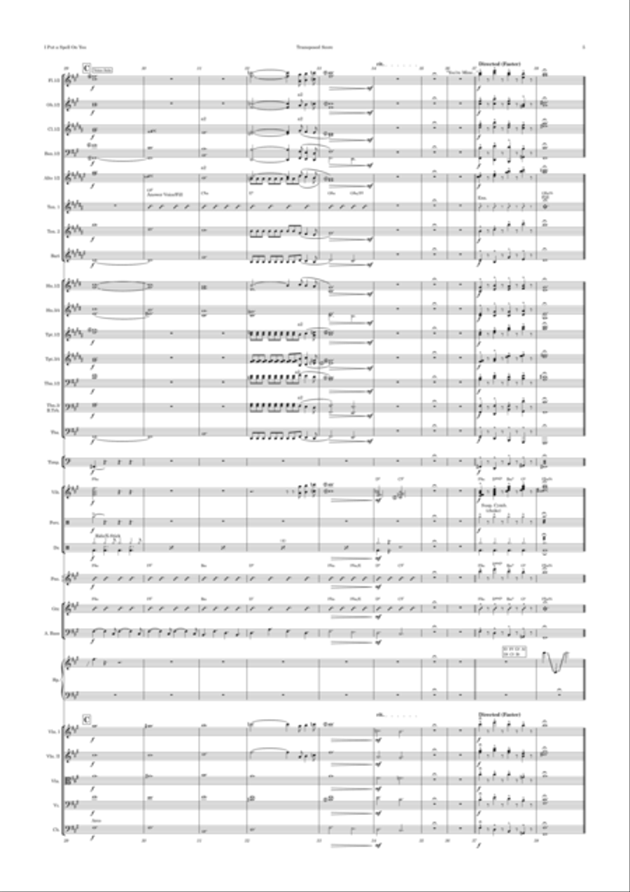 I Put A Spell On You Full Orchestra scores gallery preview page 5