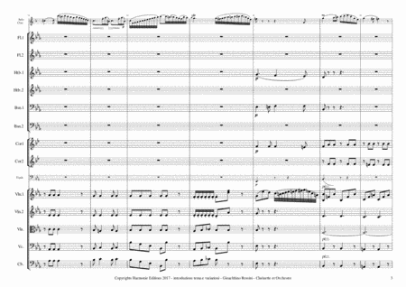 INTRODUCTION, THEME & VARIATIONS - ROSSINI - Clarinet & Orchestra // introduzione tema e variazioni image number null